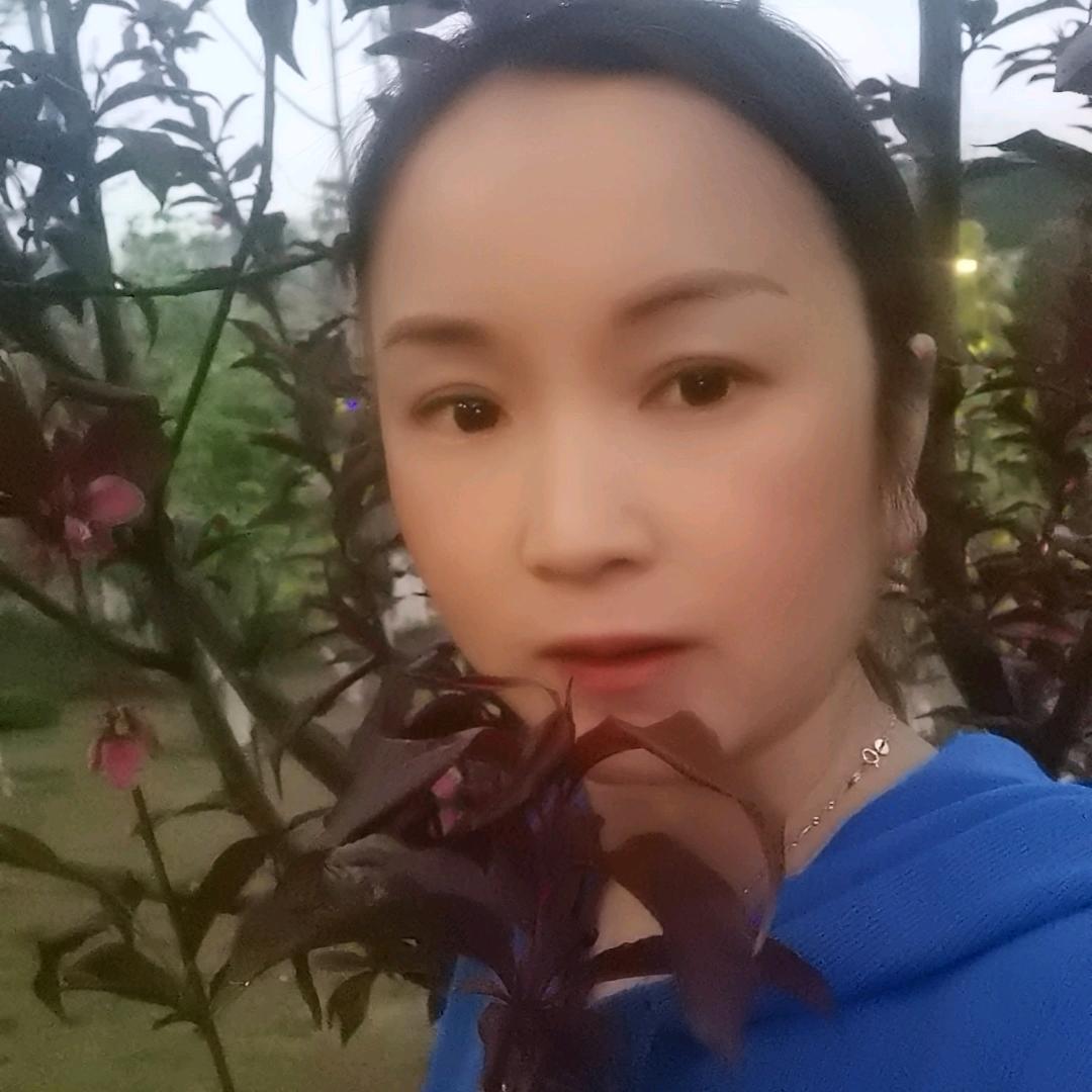 莲玫馨