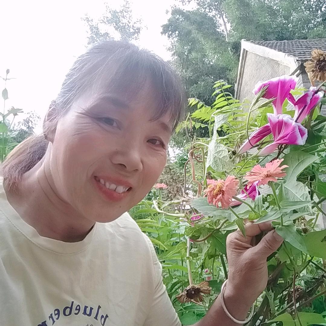 全职宝奶
