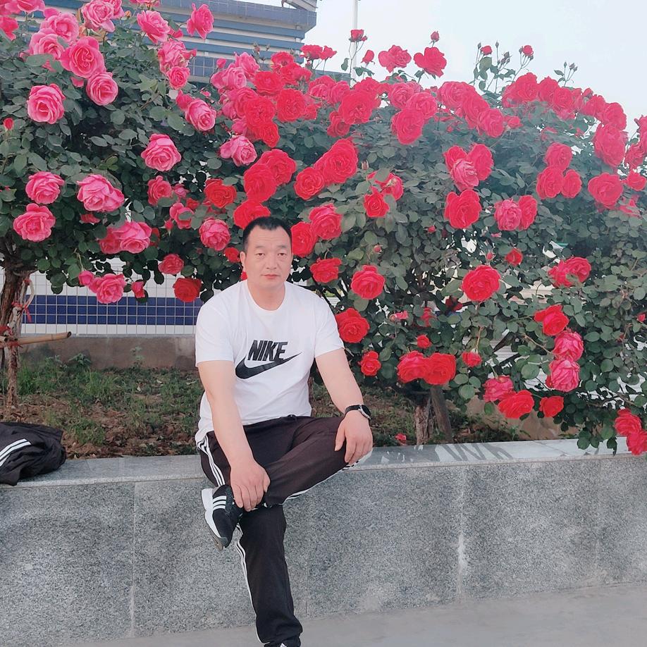 会飞的鱼