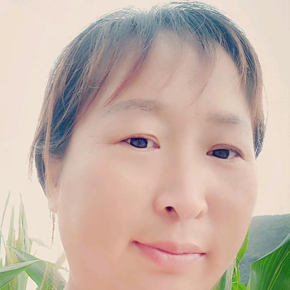小绵羊