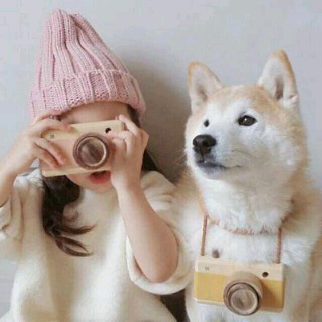 武宁