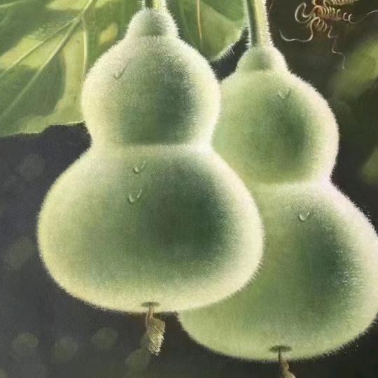鸿运当头，安定堂，🔥🔥🔥🔥?