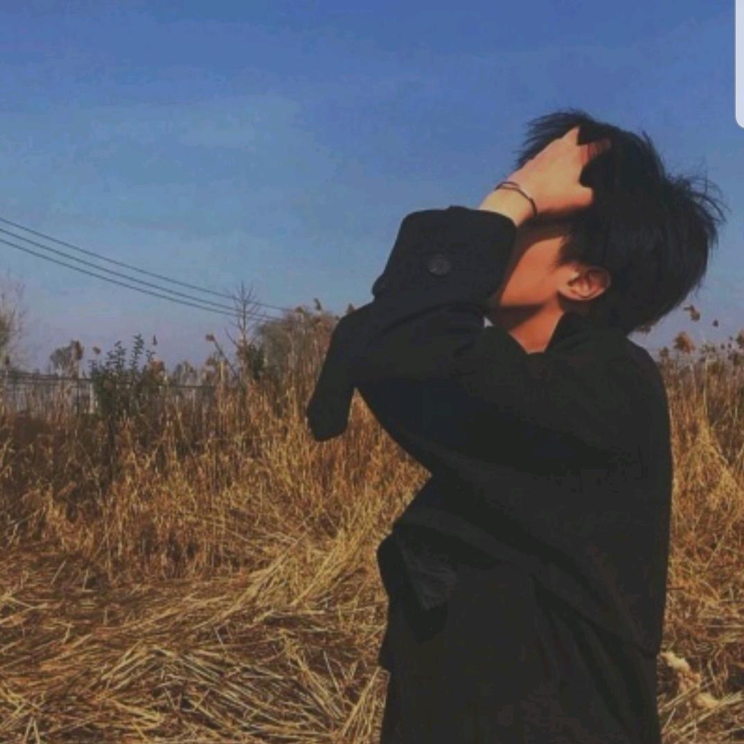 男嘉宾
