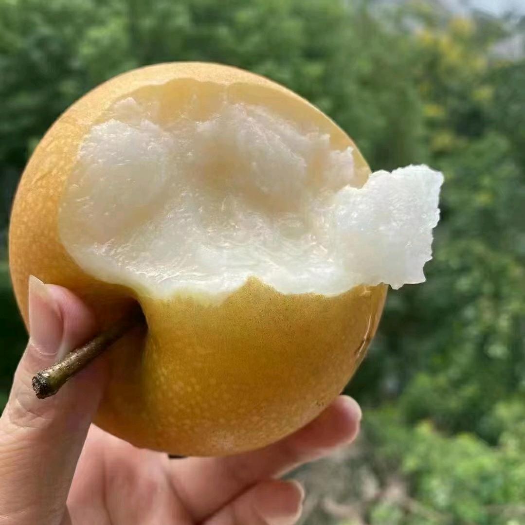 胖妞水果新鲜采摘