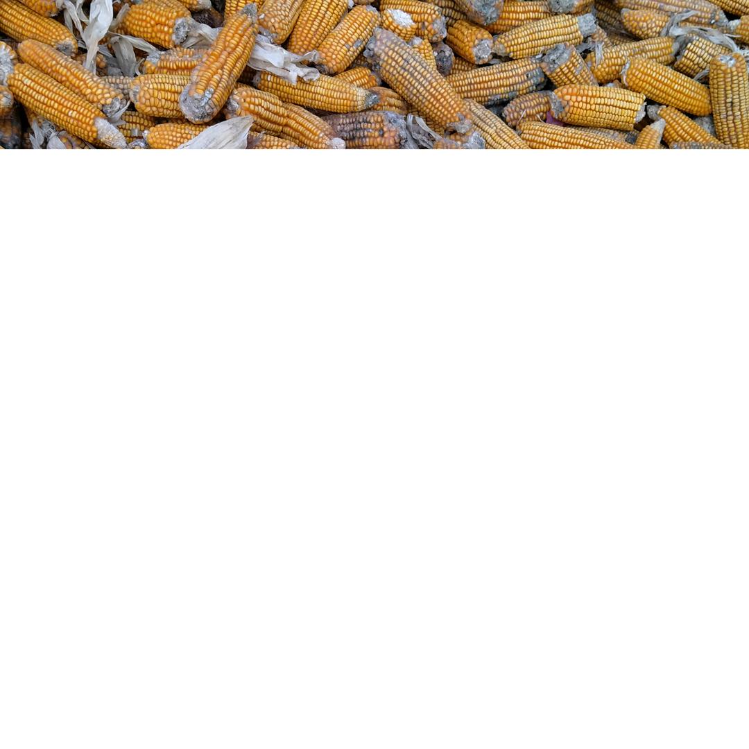 用户970067891005