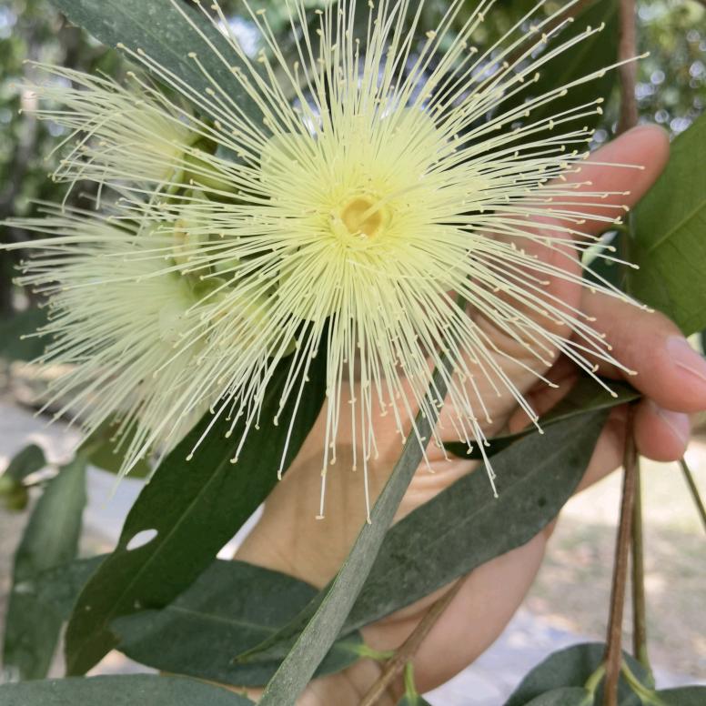 壹件代发电商仓储（深圳）有限公司