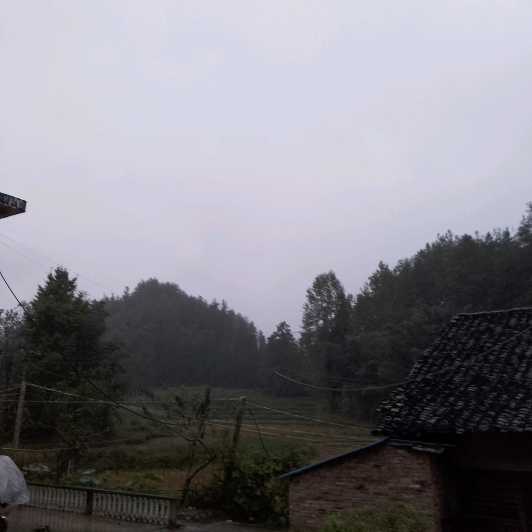 老钱