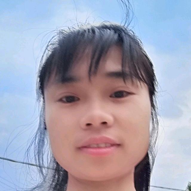 自由飞翔