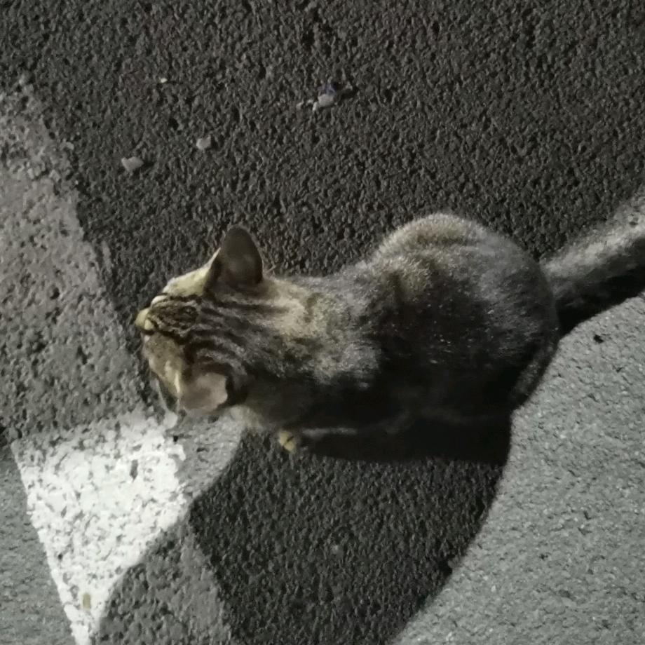 小V努力赚钱