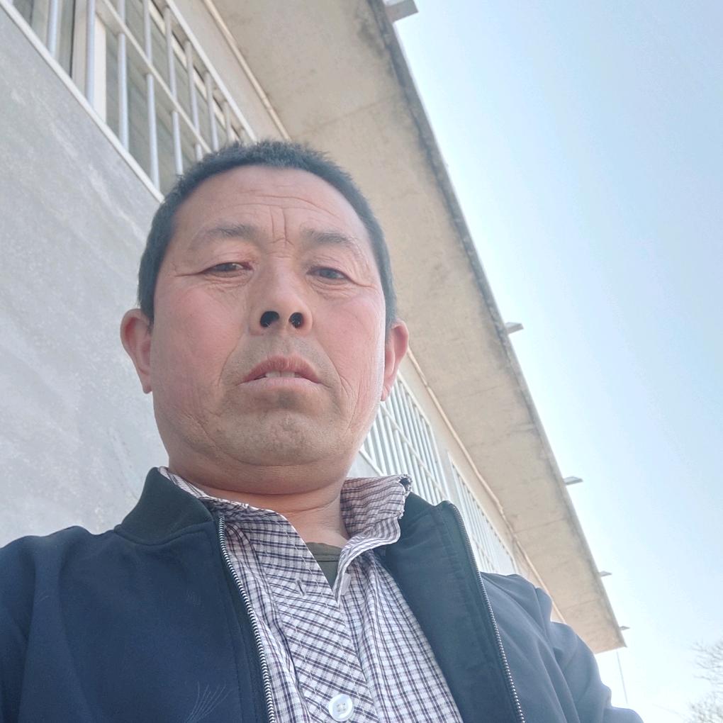 专业大棚上膜、棉被(诚信走天下，🐷