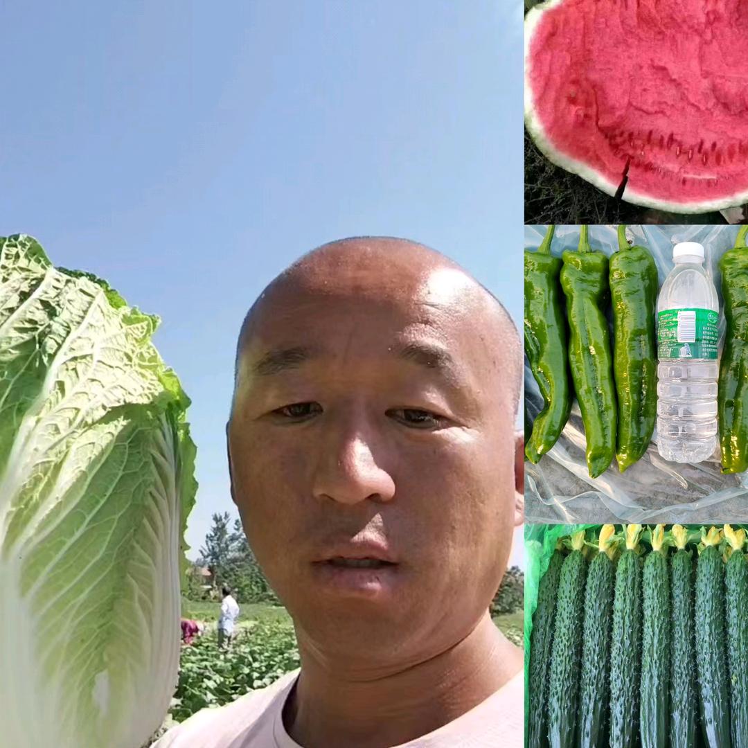 诚信果蔬代发