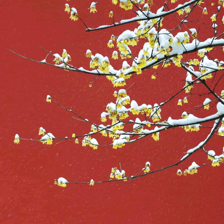 云淡风轻.