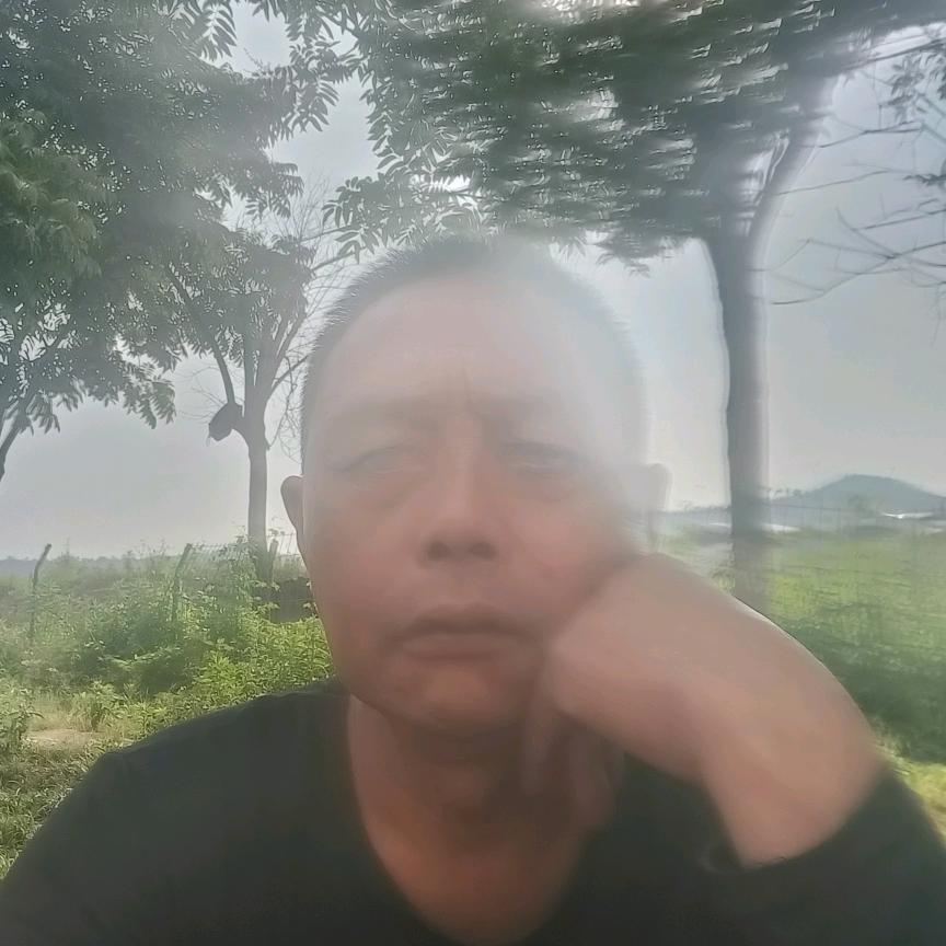 老杨888