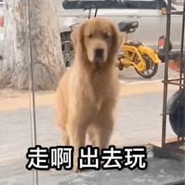 @哈哈..