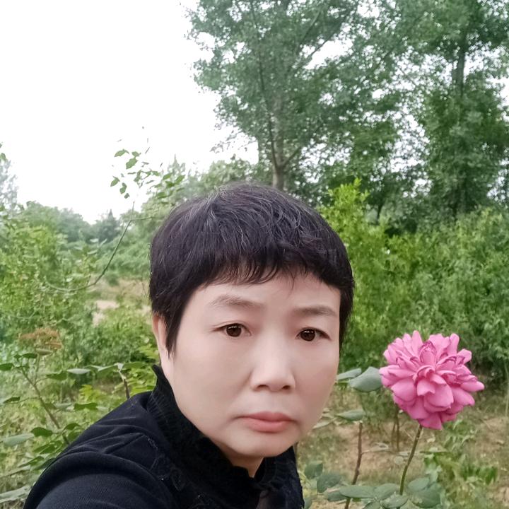 罗山的慧姐