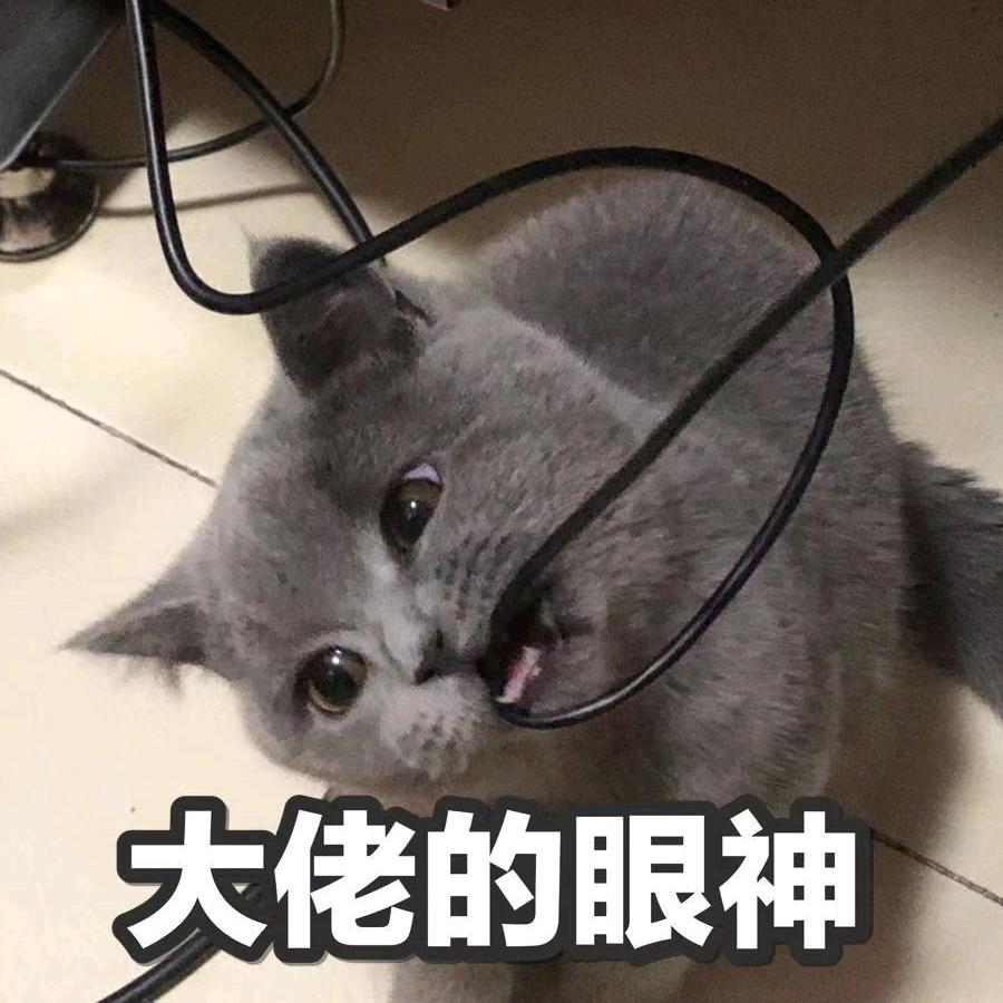 唔王万岁