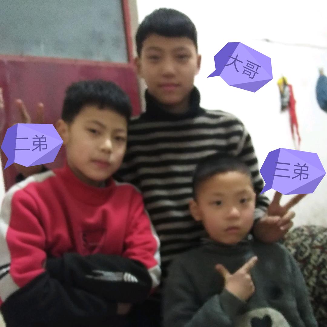 双运