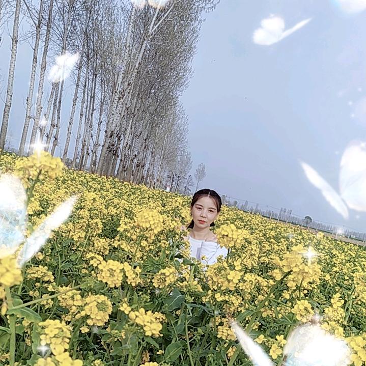 岁月安好
