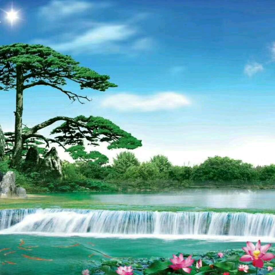 岁月静好*