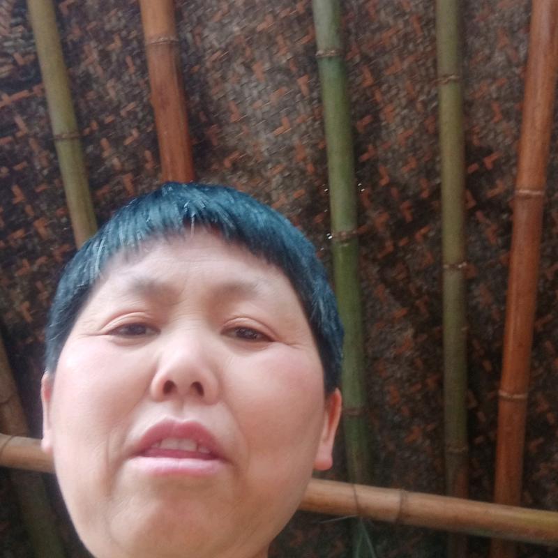 姚春兰