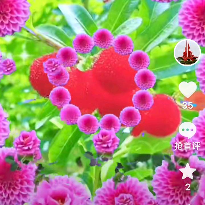 黎华明