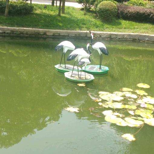 过好没一天