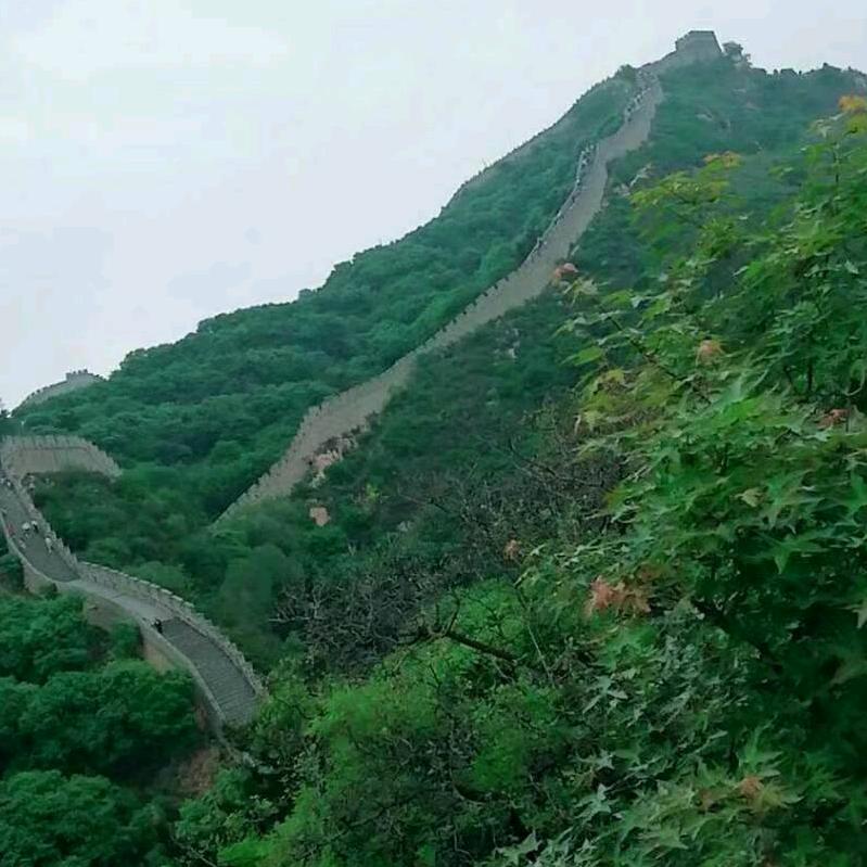 用户7387875992603逍遥人