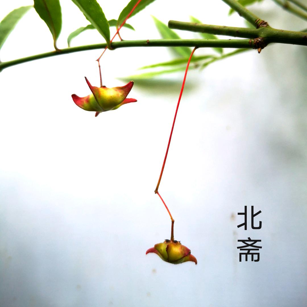 北斋