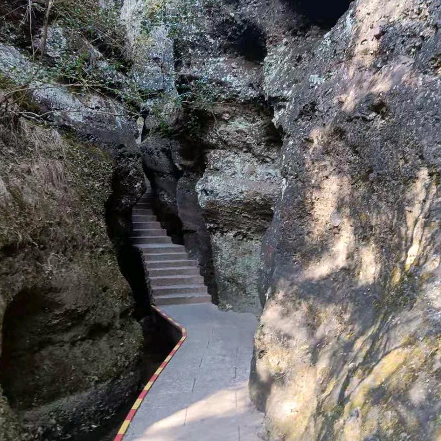 福建德哥