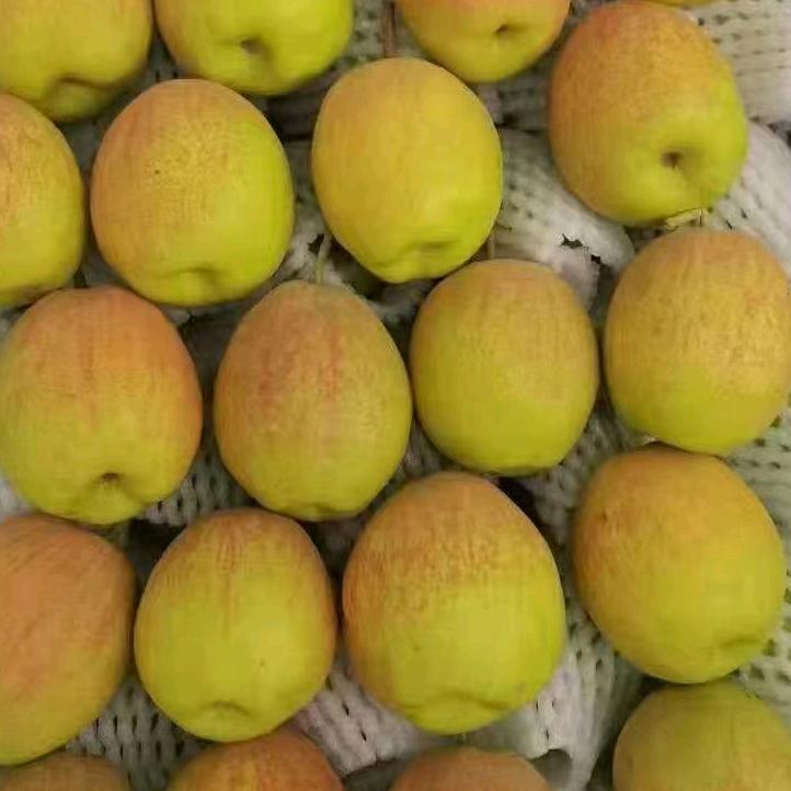 疆果达人-经营新疆香梨苹果葡萄