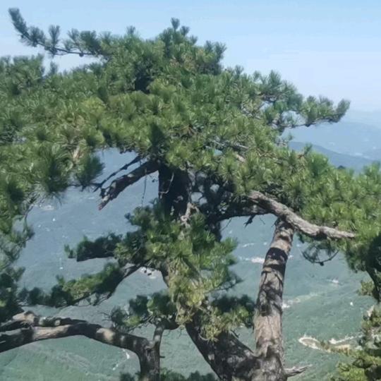 暖暖≈