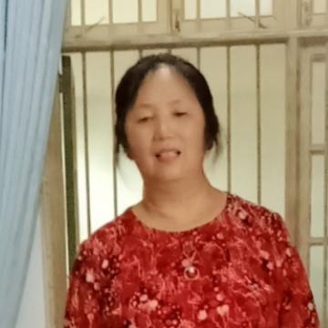 杨埃及