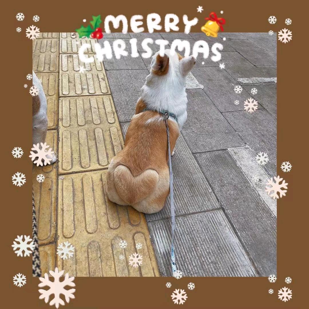 火狐健身（武昌店）