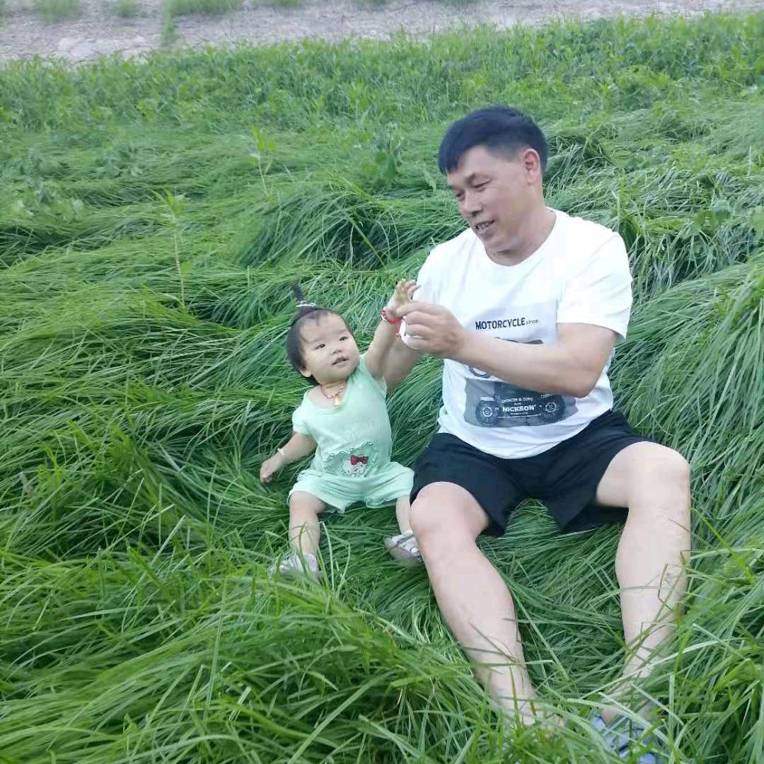 好好先森