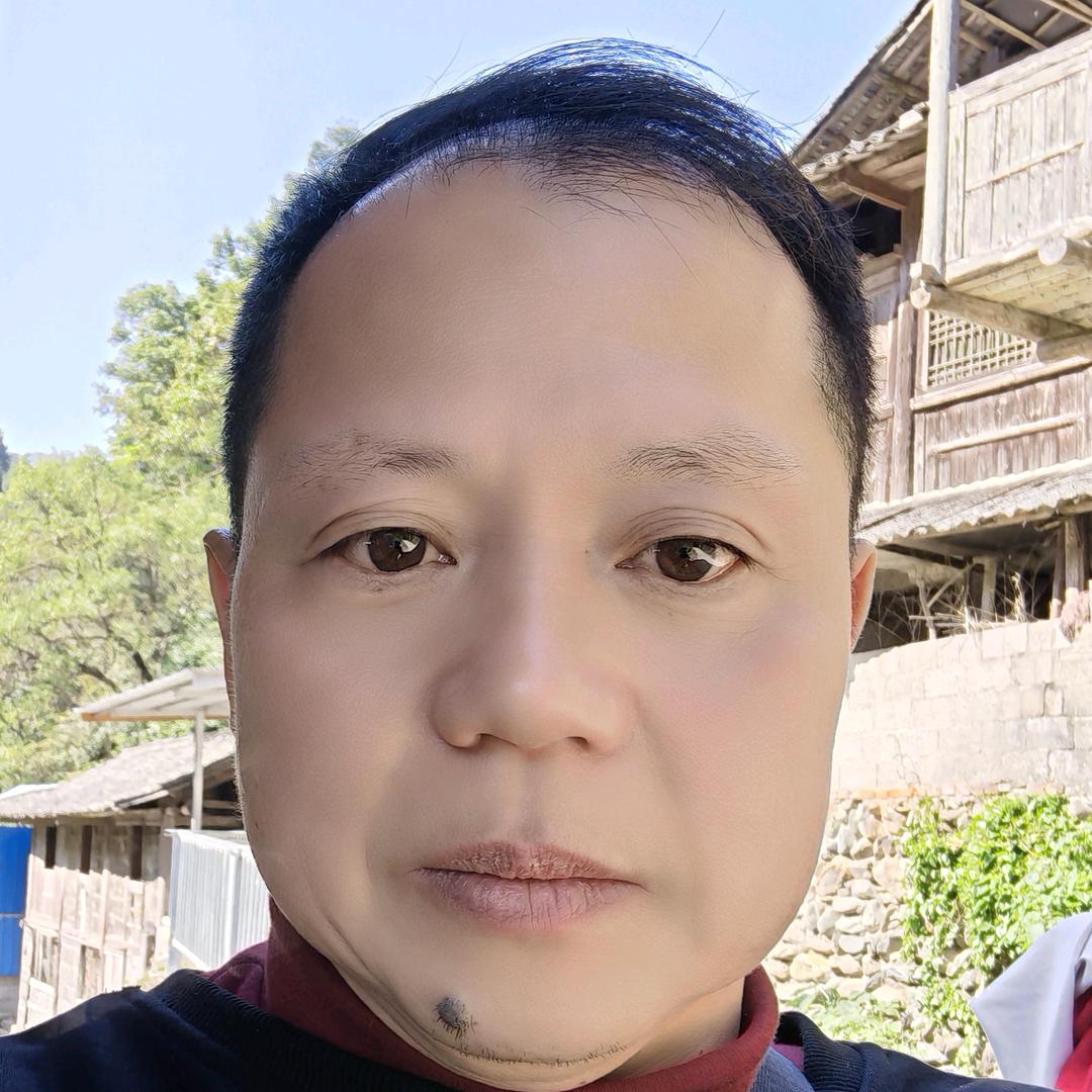 子龙