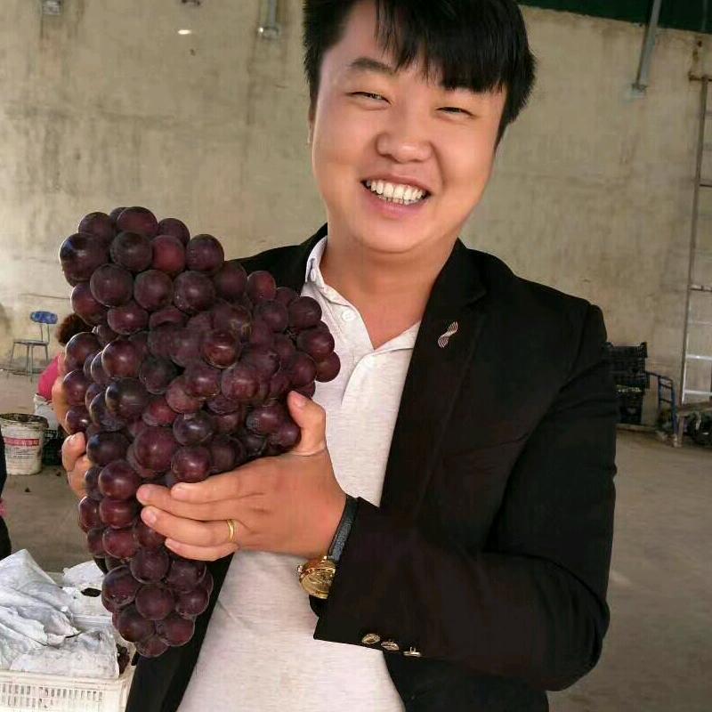 @王帅水果供应链