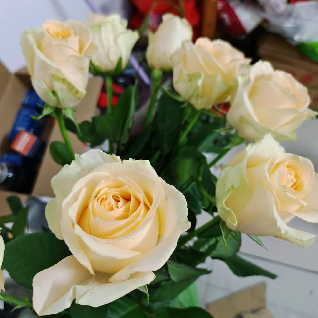 🥀᭄半醒半醉꧔ꦿᩚ半浮生💕