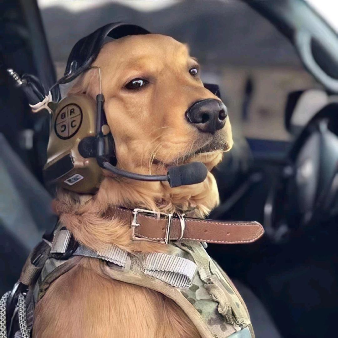 冰可乐🧊（无糖）