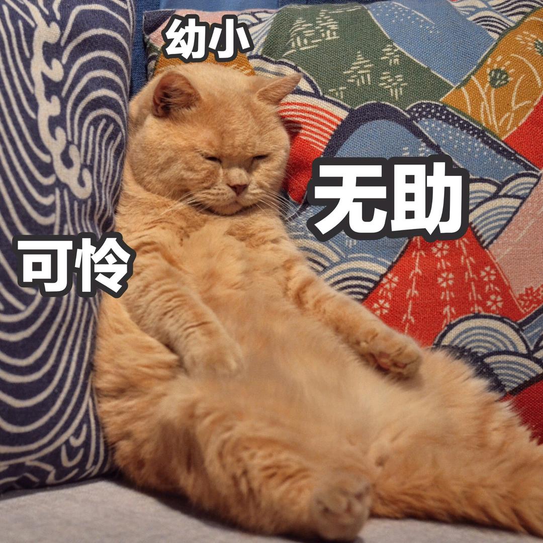 空城