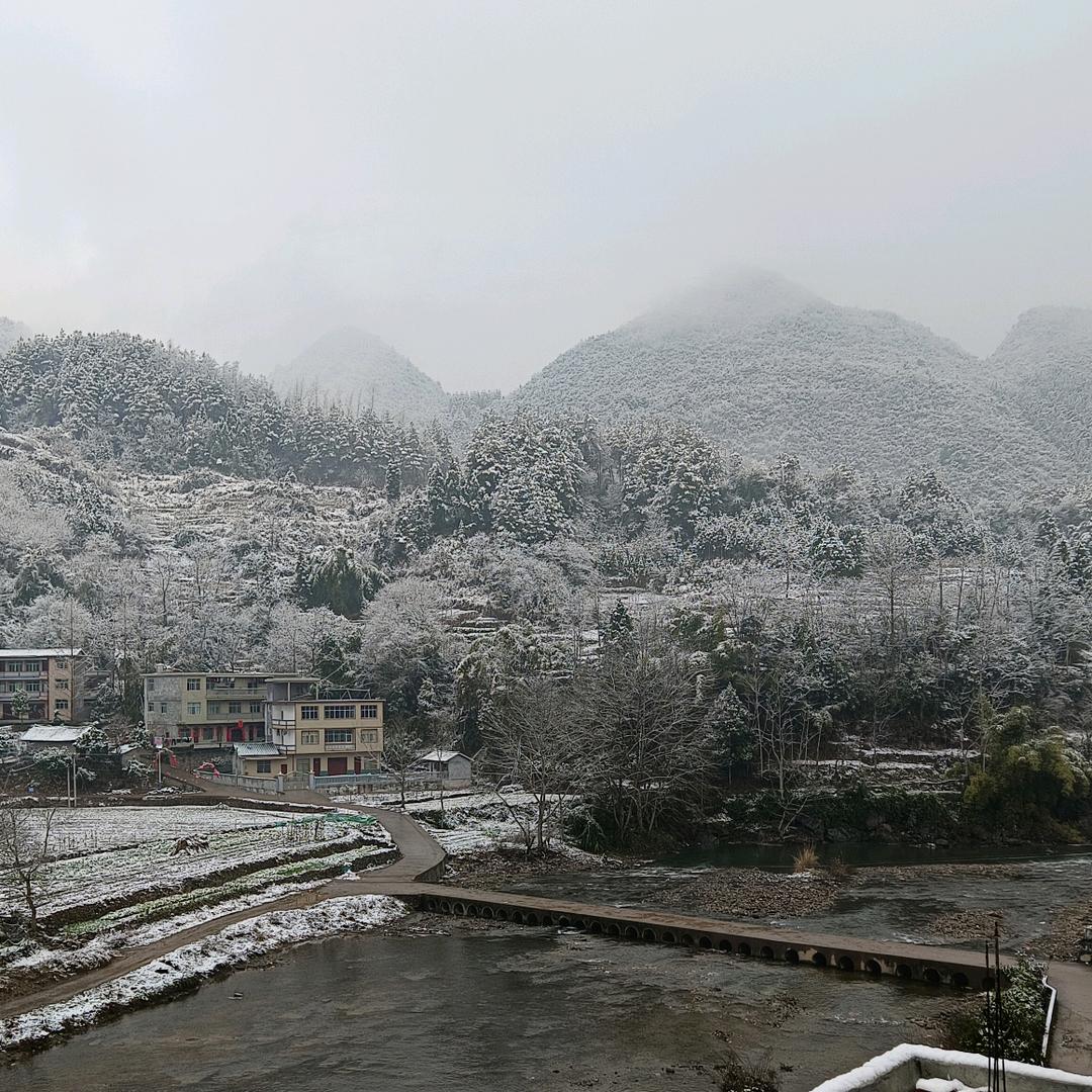洪坪小向