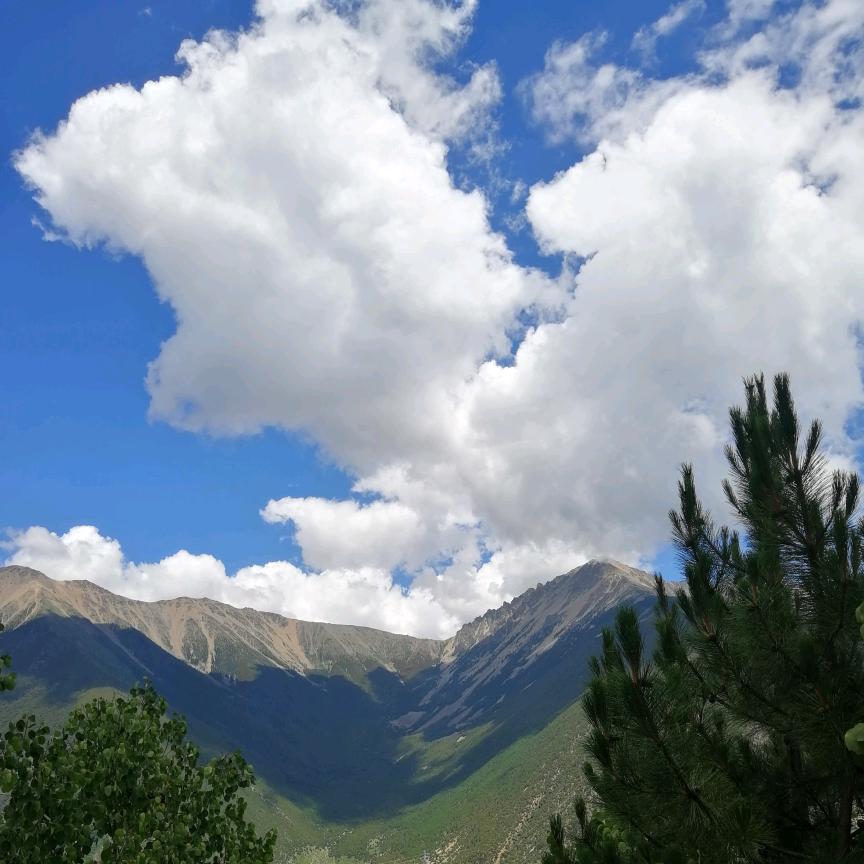 诚实守信（自驾旅行）