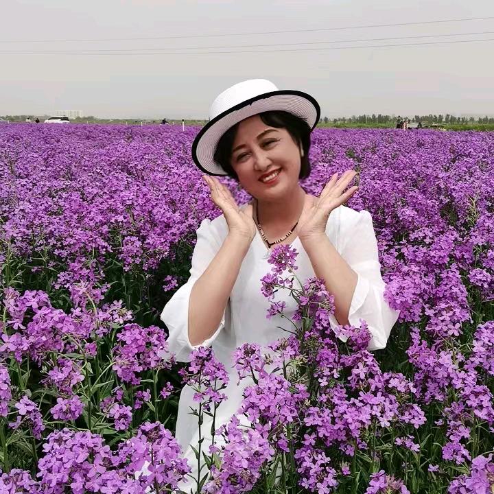 见字如面