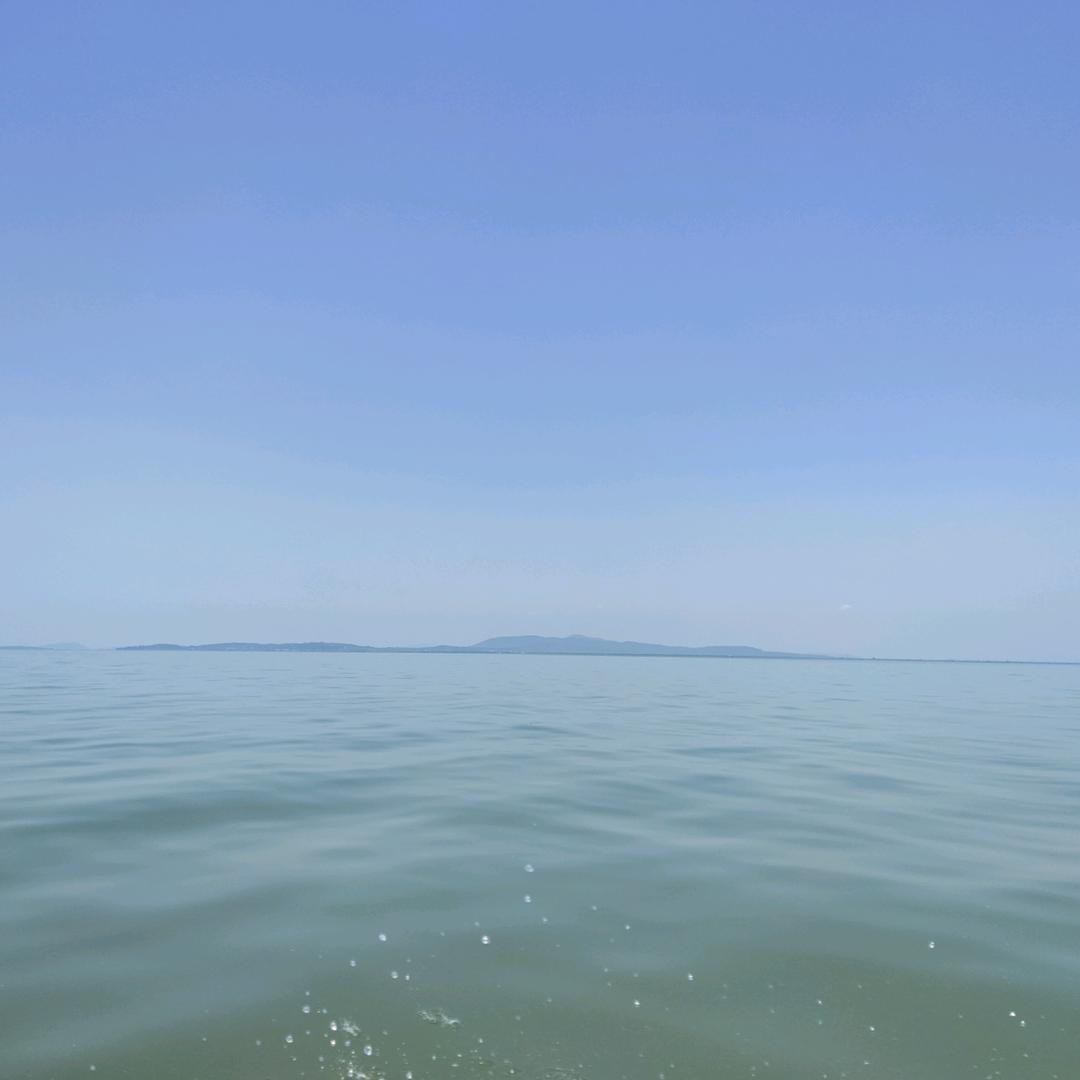 江湖再见