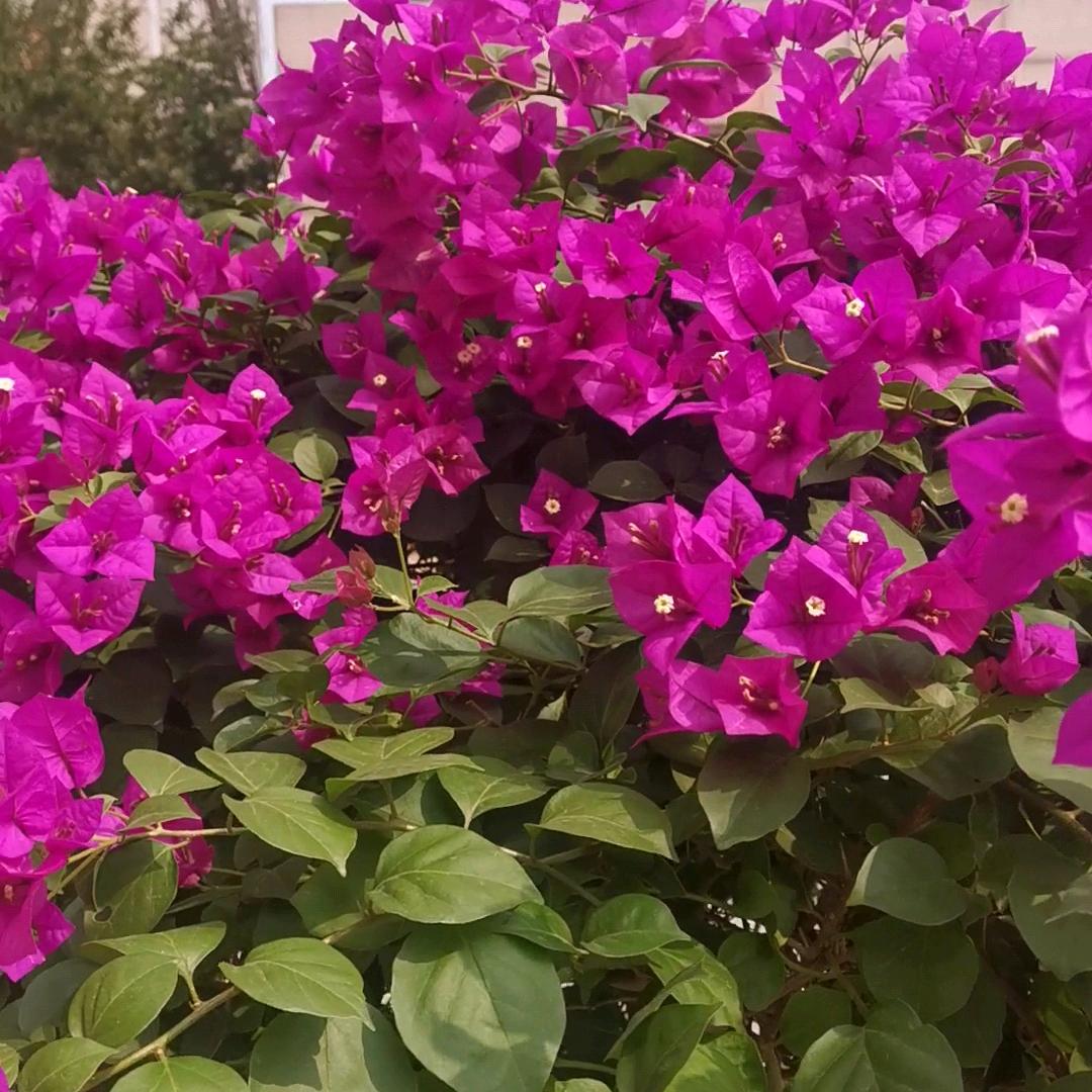 用户幸福是奋斗出来的