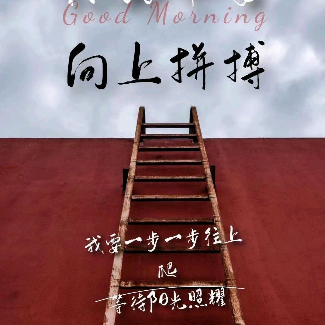 蟹子