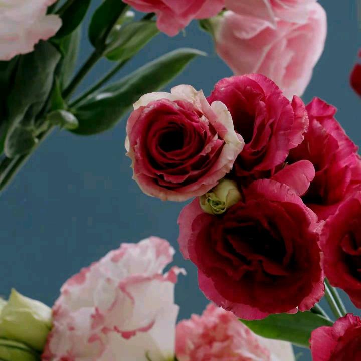 我是一个好幸福的人晚上8:50开播