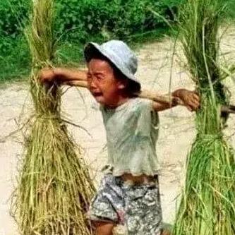 忘不了的过去