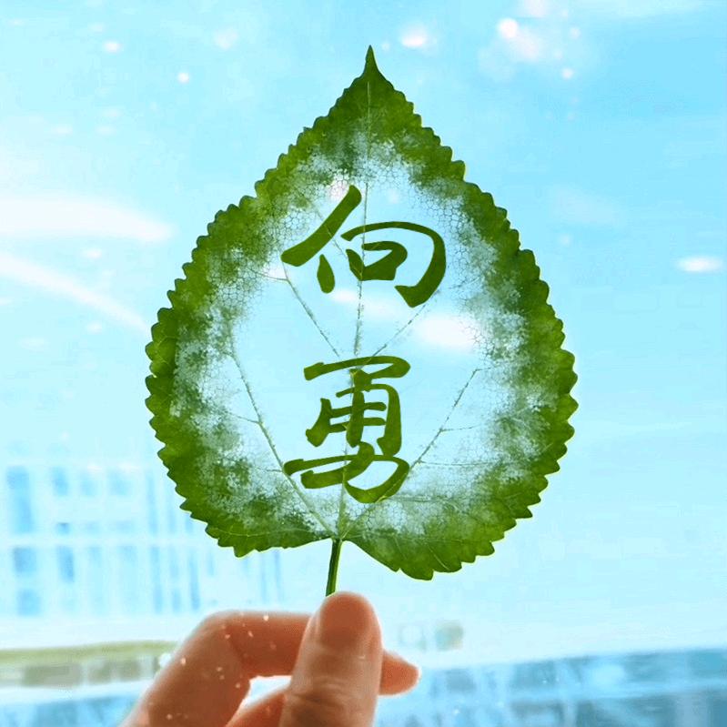 👺向天而勇，忠君一世👹