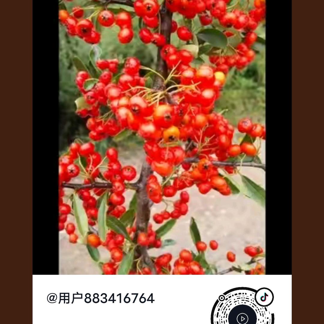 用户883416764
