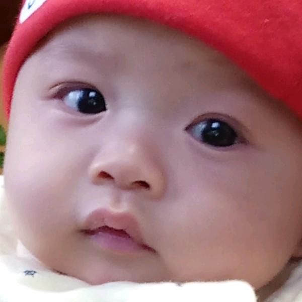 用户7043822031800猎豹